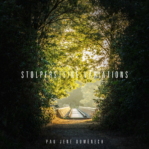 Stolpersteine Variations: Stolpersteine