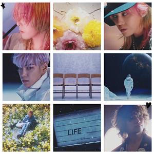 春夏秋冬·Still Life （和声伴奏）