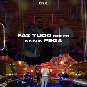 Faz Tudo Direito / O Bicho Pega