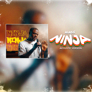 Ninja (Acoustic Version)