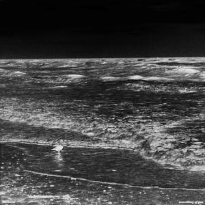 Couldn't Love You (If I Tried)