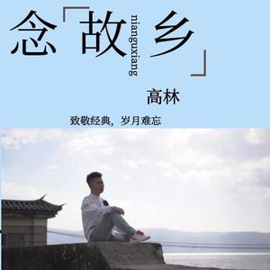 麦洁文-念故乡(Remix)