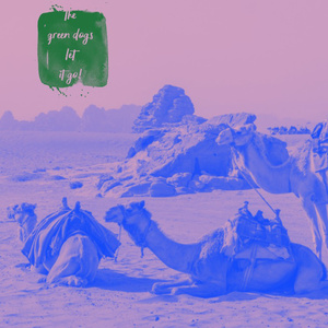 Let It Go! (She's Definitely Searching for Something Real Remix)