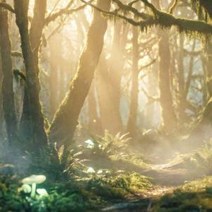 Victory Feels Like Silence