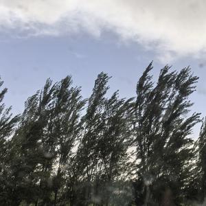 反乌托邦（少年ver）