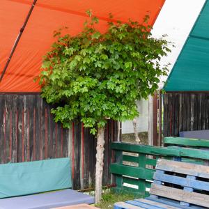 იყო და არა იყო რა