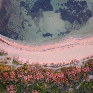 窝心的朋友（Shining friends）