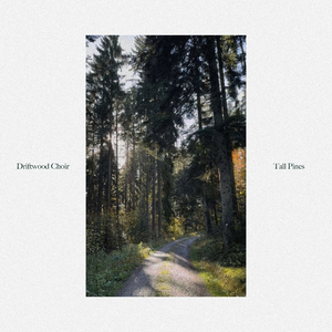 Tall Pines