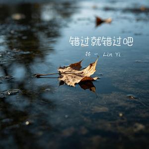错过就错过吧
