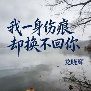 我一身伤痕却换不回你