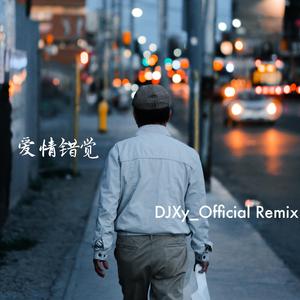 王娅-半吨兄弟-爱情错觉（DJXy_official remix）
