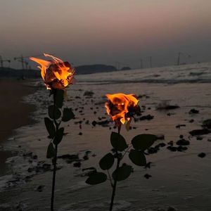 悲伤海