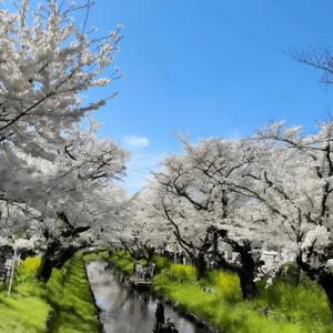 以后抓紧你的手