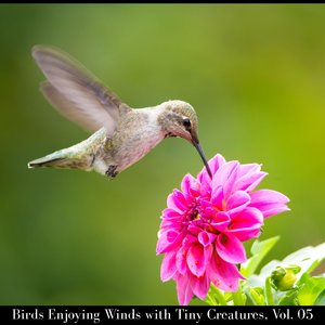 Woodpecker Drum at Dawn