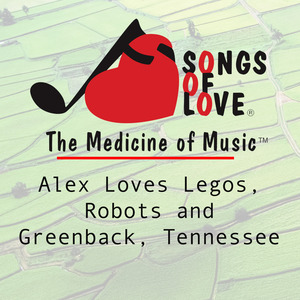Alex Loves Legos, Robots and Greenback, Tennessee