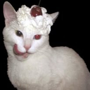 Walk Of Shame (sped up)