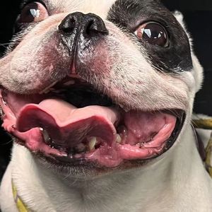 贫民窟里的钻石