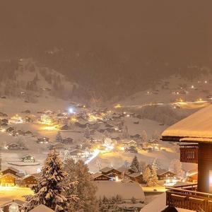 邓丽君-采访录音 1（小飞 remix）