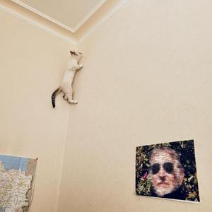 C'est pas de l'égotrip