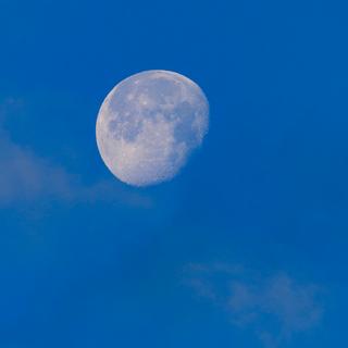 【治疗重度失眠】欢迎夜晚孤独的你