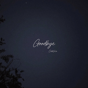 Goodbye