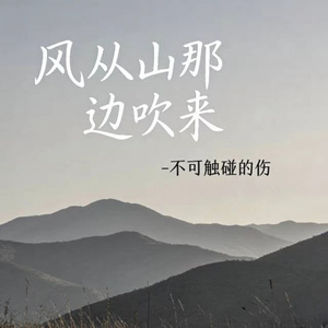 风从山那边吹来 (烟嗓版)
