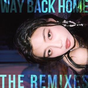 Way Back Home (Instrumental)