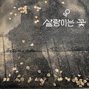 안녕
