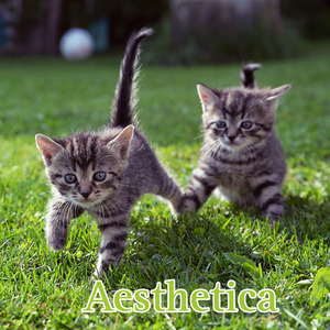 Aesthetica