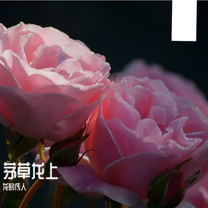 听见春天-整曲 伴奏