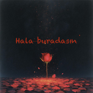 Hala Buradasın