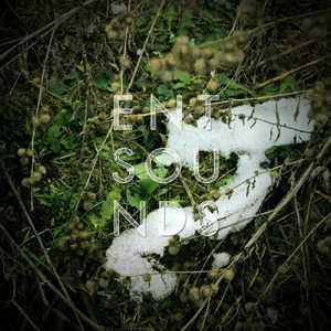 Dormancy