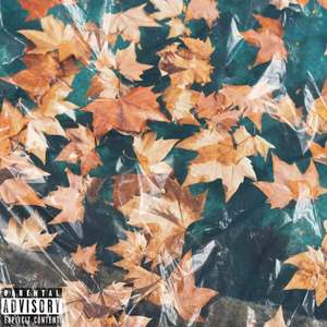 R&B Type Beat''落叶''