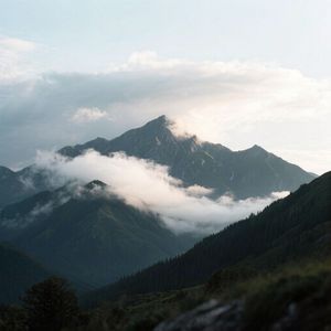 我用情付诸流水