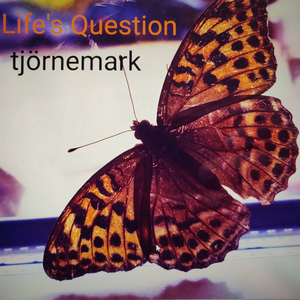 Life's Question