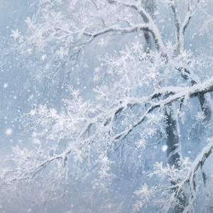 傍晚江边长椅上