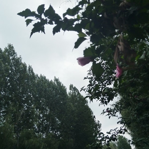 无声散场的爱恋