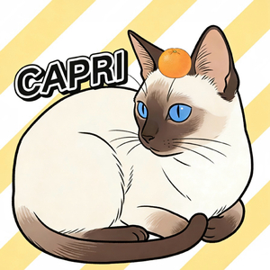 卡普里岛橙（Prod by Super Wang