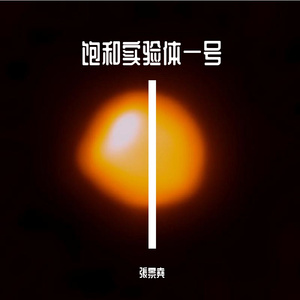 饱和实验体一号：标本Ⅰ