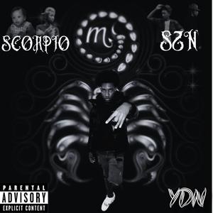 S.W.F (feat. C.King & JayyDotSleep)