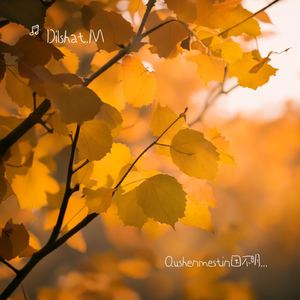 Qushenmestin因不明白