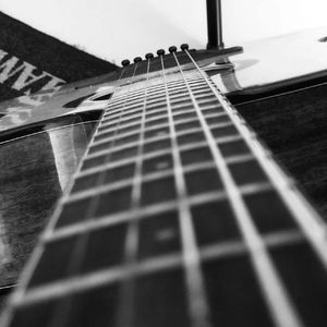 野花做了一场玫瑰花的梦----梅先森