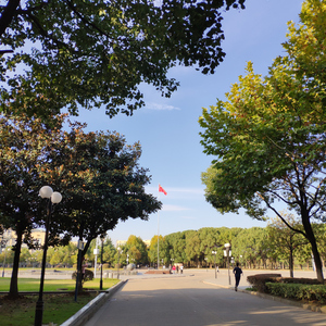 牵住我的女朋友