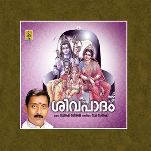 Thirujada Thannilayi