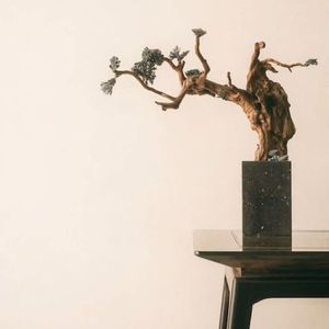 FREE 来无影去无踪 中国风boombap x 808 Type beat