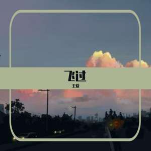 飞过