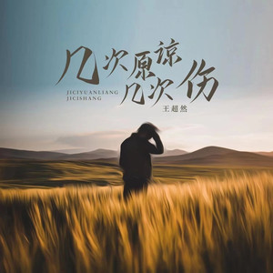 几次原谅几次伤