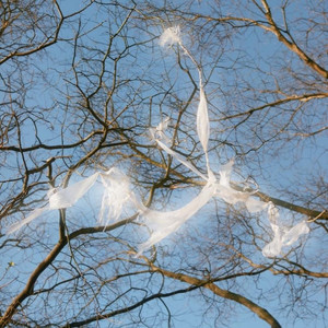 今年冬天我一个人