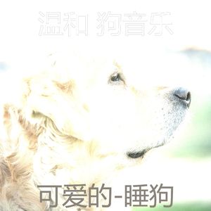 睡觉的小狗-鼓舞人心