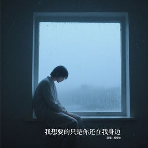 我想要的只是你还在我身边